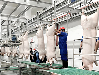 什么是屠宰冷庫？屠宰廠冷庫原理詳解